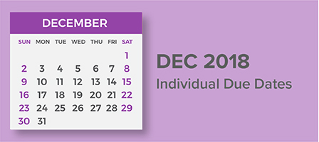 December 2018 Individual Due Dates