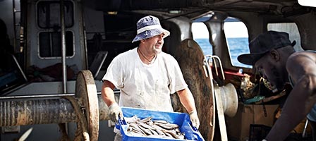 Many Farmers and Fishers Face March 1 Tax Deadline